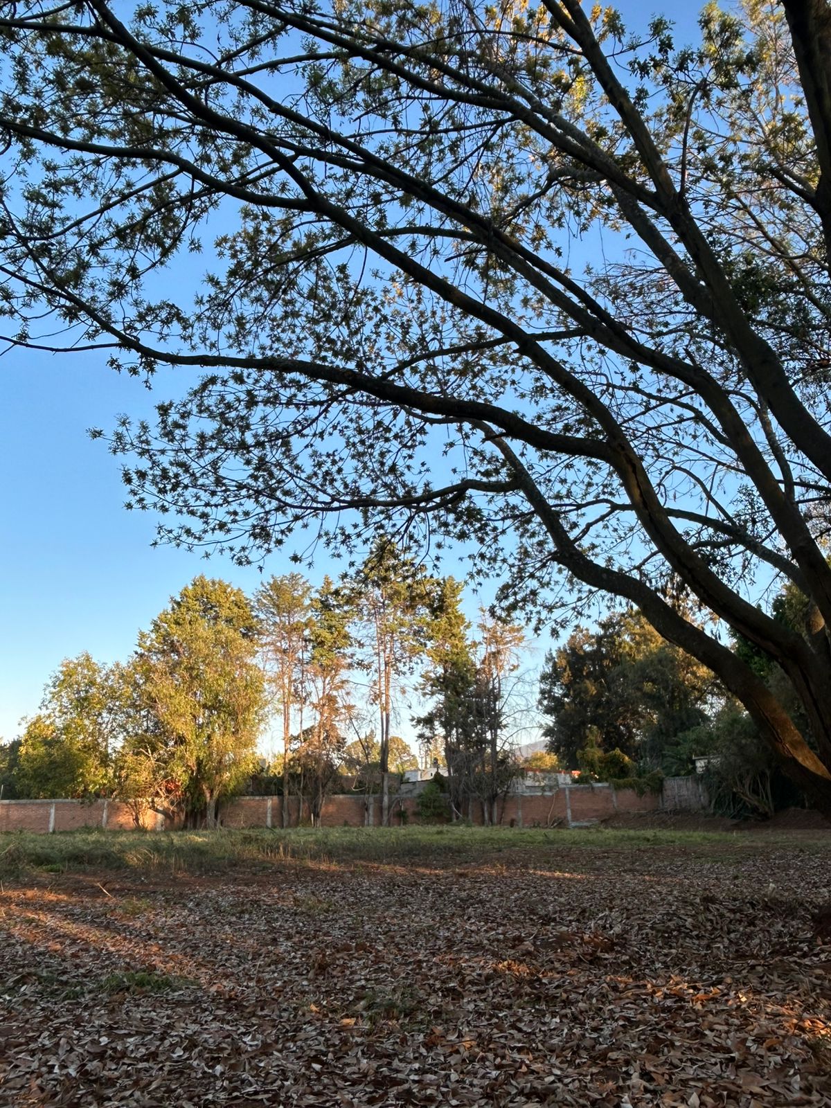 Espacios de Contemplación